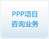 ppp項(xiàng)目咨詢(xún)業(yè)務(wù)